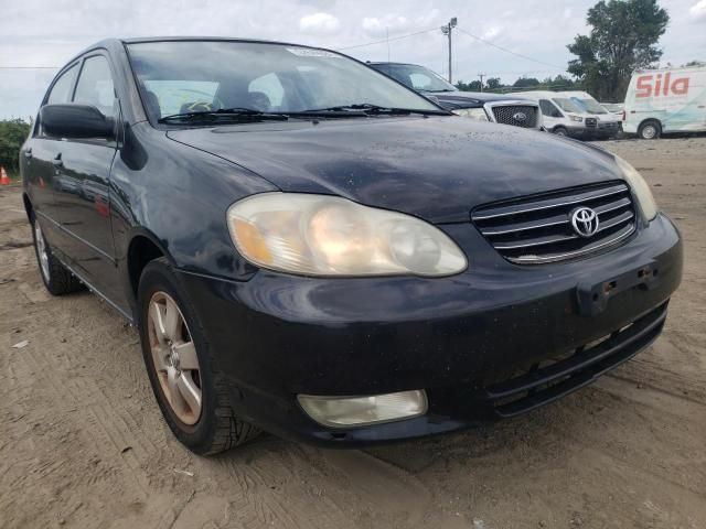 Toyota Corolla • 2004 • 12 km 2