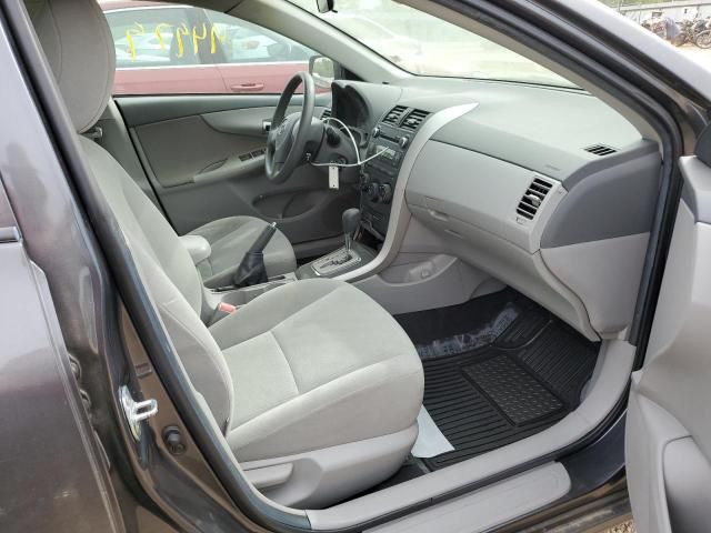 Toyota Corolla • 2010 • 33 km 5