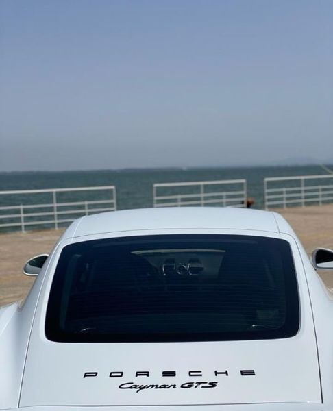 Porsche Cayman • 2015 • 250,000 km 6