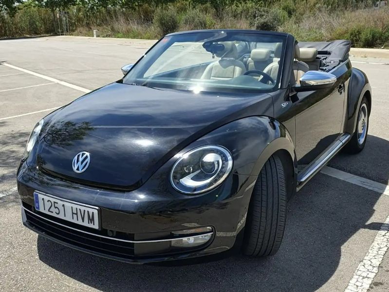 Volkswagen Beetle • 2014 • 106,742 km 2