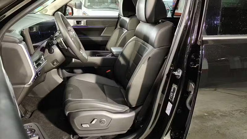 Hyundai Santa Fe • 2024 • 6,350 km 5