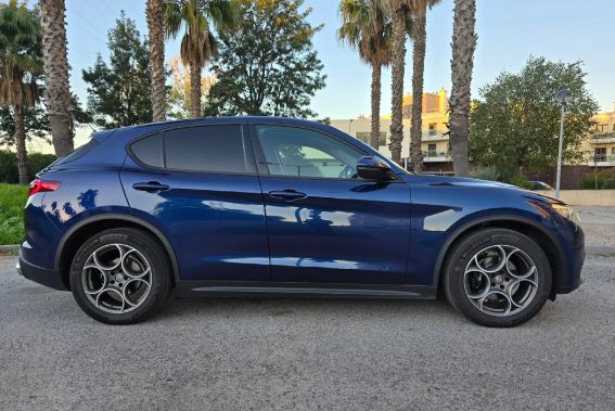 Alfa Romeo Stelvio • 2020 • 179,000 km 3
