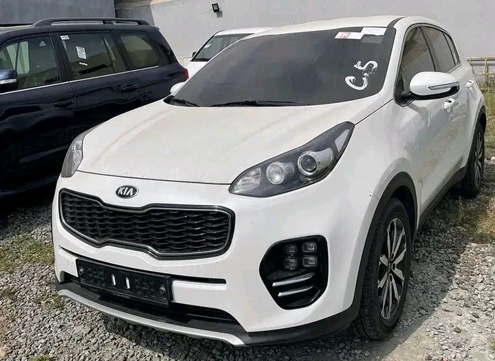 Kia Sportage • 2019 • 2 km 1