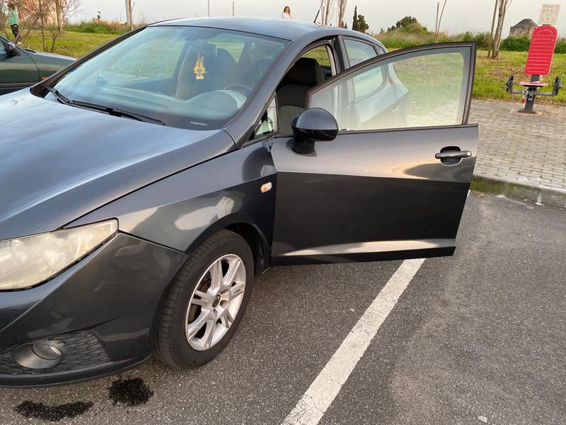 Seat Ibiza • 2008 • 175,505 km 1