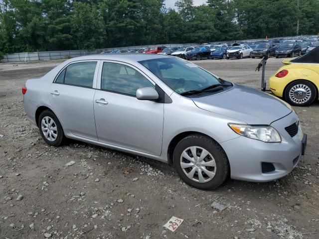 Toyota Corolla • 2010 • 10,000 mi 2