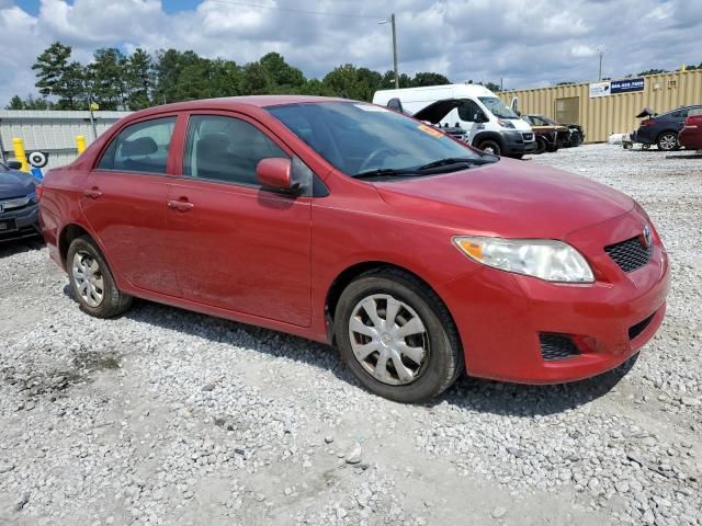 Toyota Corolla • 2010 • 10,000 mi 1