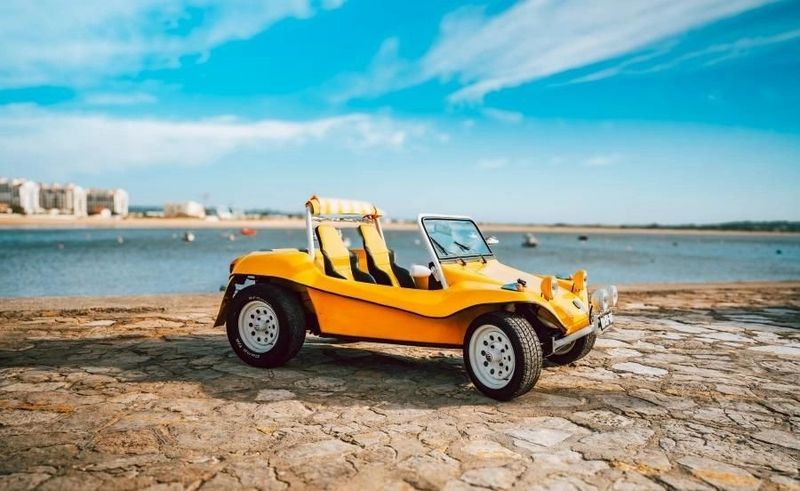 Volkswagen Beetle • 1964 • 17,338 km 4