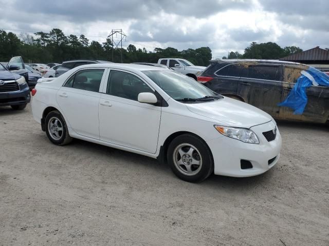 Toyota Corolla • 2009 • 10,000 mi 2