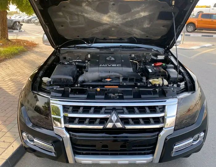 Mitsubishi Pajero • 2019 • 34 km 3