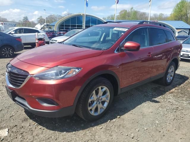 Mazda CX-9 • 2015 • 10,000 mi 3