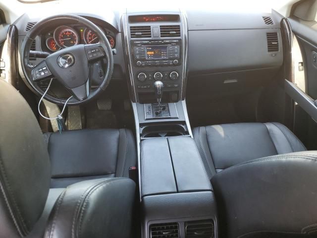 Mazda CX-9 • 2010 • 10,000 mi 5