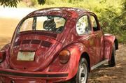 Volkswagen Beetle • 2003 • 96,000 km 5