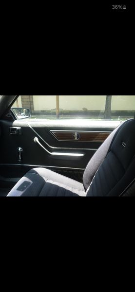 Ford Mustang • 1981 • 60,000 km 5