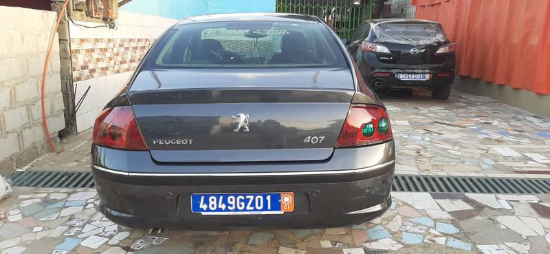 Peugeot 407 • 2007 • 226,043 km 2