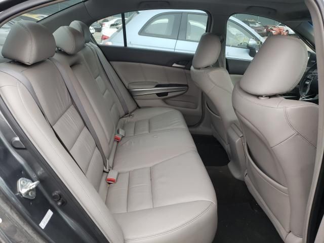 Honda Accord • 2008 • 10,000 km 6