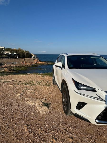 Lexus NX • 2019 • 88,500 km 6