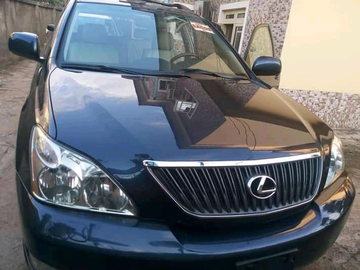 Lexus RX • 2004 • 80,000 km 2