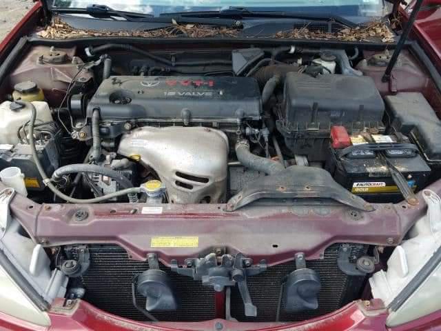 Toyota Camry • 2004 • 1,000 km 2