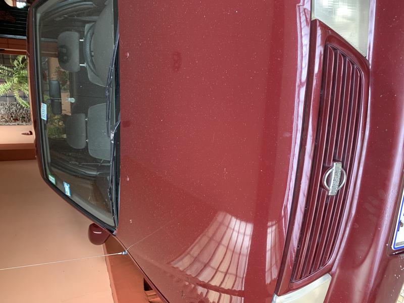 Nissan Sentra • 1995 • 110,262 km 2