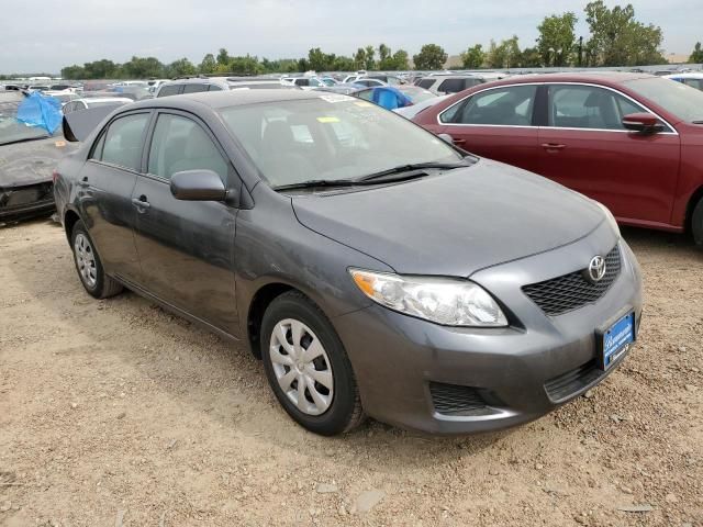 Toyota Corolla • 2010 • 33 km 1