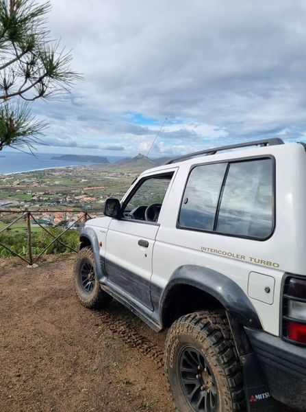 Mitsubishi Pajero • 2009 • 155,000 km 3