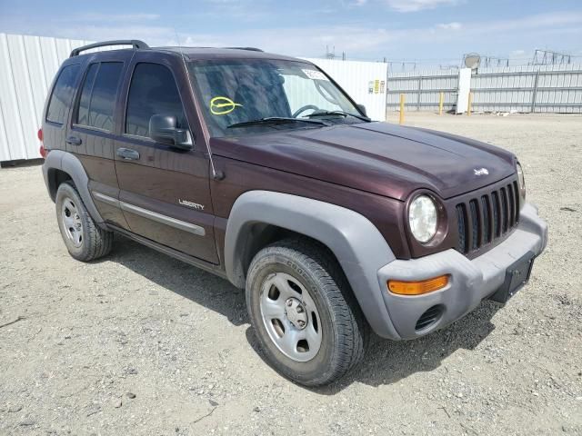 Jeep Liberty • 2004 • 12 km 4