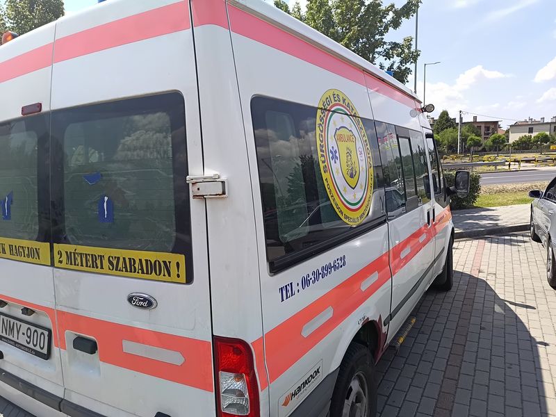 Ford Transit Tourneo • 2011 • 350,000 km 2