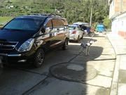 Hyundai H1 • 2015 • 79,000 km 4