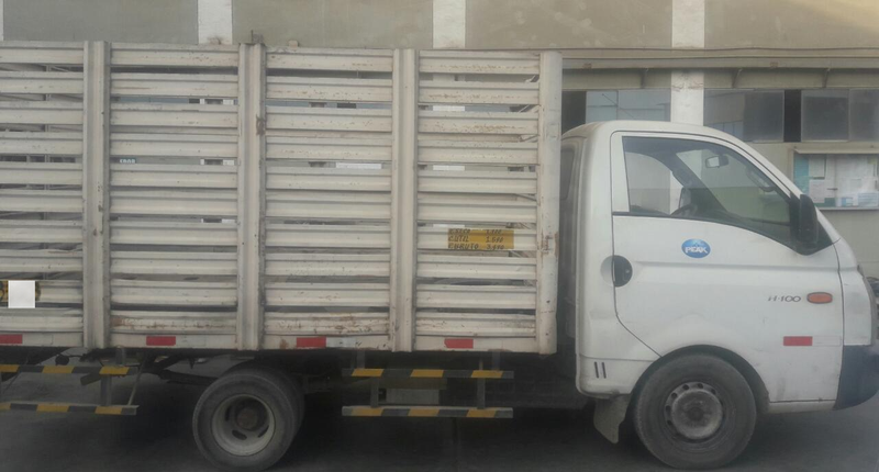 Hyundai H200 • 2009 • 472,209 km 2