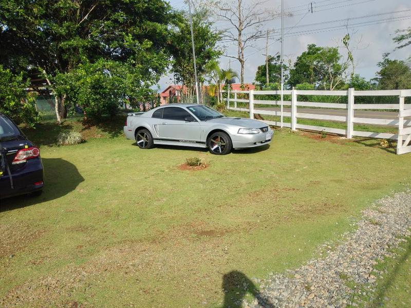 Ford Mustang • 2001 • 85,500 km 4