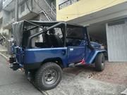 Toyota FJ Cruiser • 1979 • 20,000 km 3