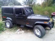 Jeep Wrangler • 1992 • 100 km 3