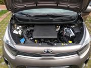 Kia Picanto • 2019 • 7,000 km 7
