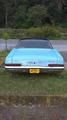 Chevrolet Impala • 1966 • 25,000 km 3