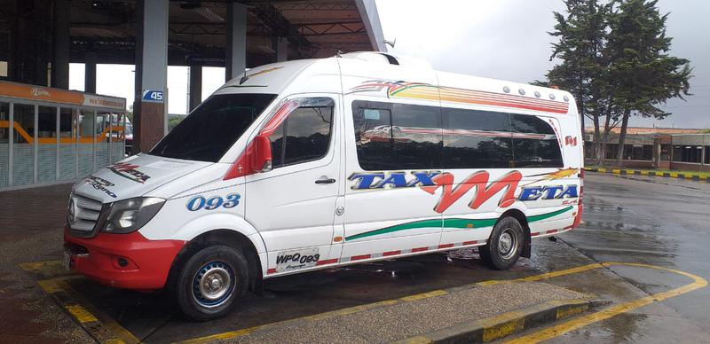 Mercedes-Benz 310 Van • 2017 • 328,000 km 3