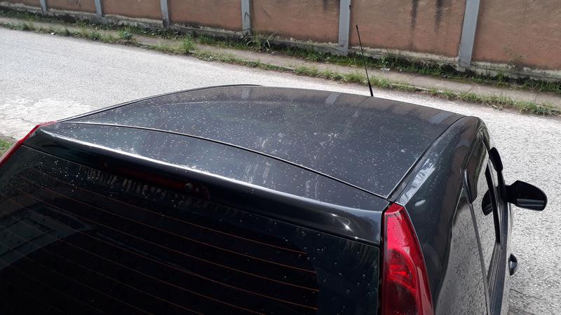 Ford Fiesta • 2013 • 76,000 km 9