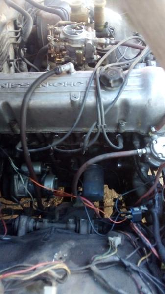 Datsun Stanza • 1977 • 4 km 6