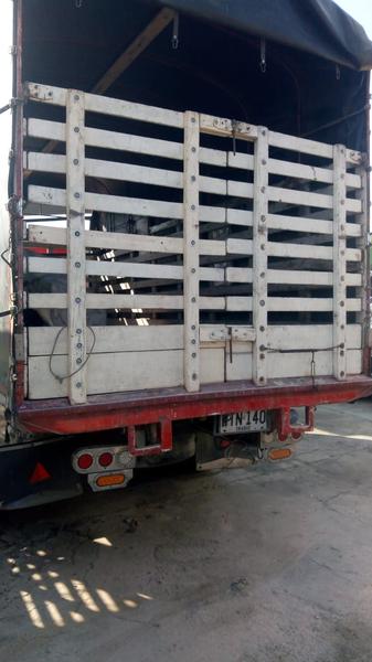 Ford F-250 • 2006 • 200,000 km 3