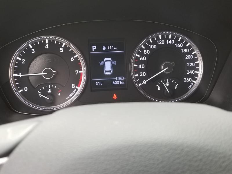 Hyundai Santa Fe • 2019 • 6,000 km 3