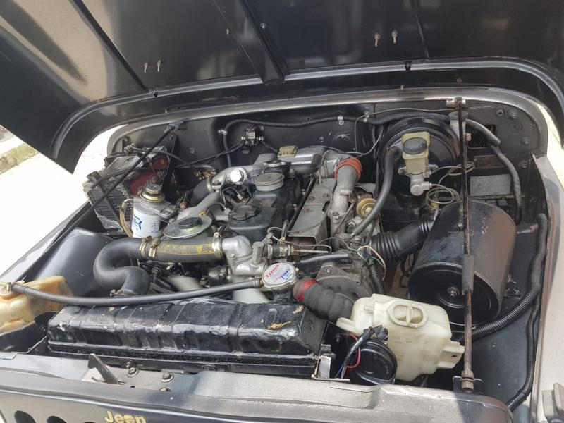 Jeep Wrangler • 1978 • 0 km 3