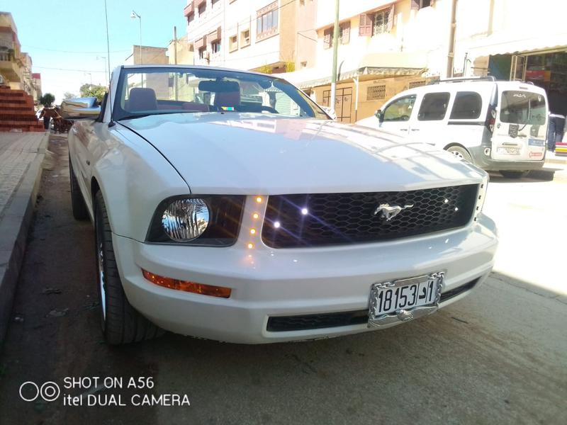 Ford Mustang • 2009 • 54,000 km 1