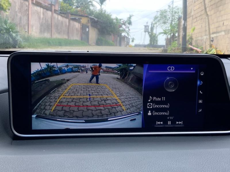 Lexus RX • 2019 • 36,000 km 2