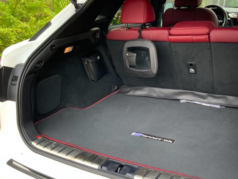 Lexus RX • 2019 • 36,000 km 6