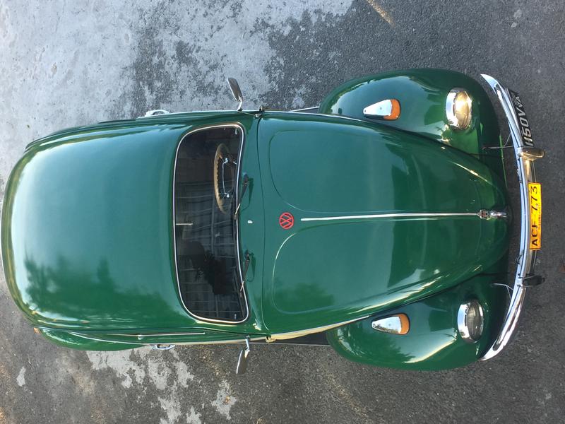 Volkswagen Beetle • 1961 • 800 km 2