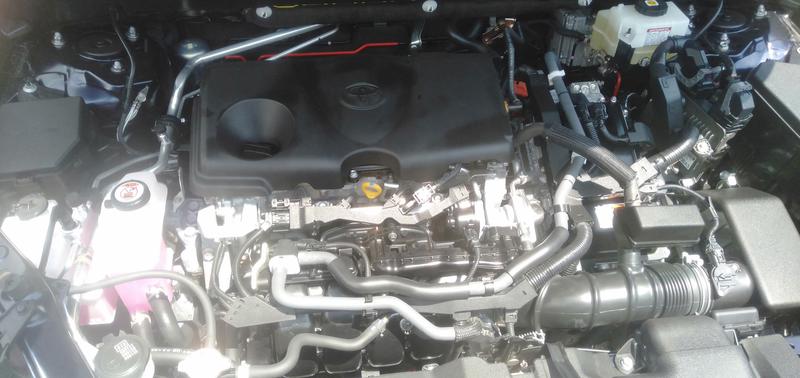 Toyota RAV4 • 2020 • 4,500 km 4