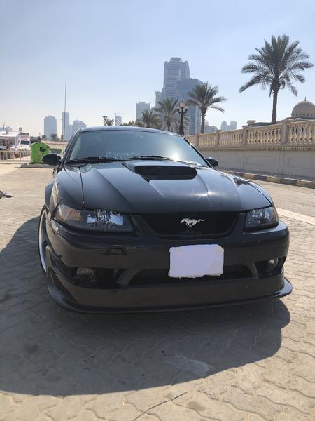 Ford Mustang • 2004 • 86,000 km 1