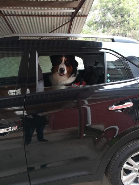 Hyundai Accent • 2017 • 18,000 km 3