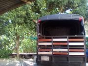 Chevrolet Luv • 2009 • 167,193 km 5