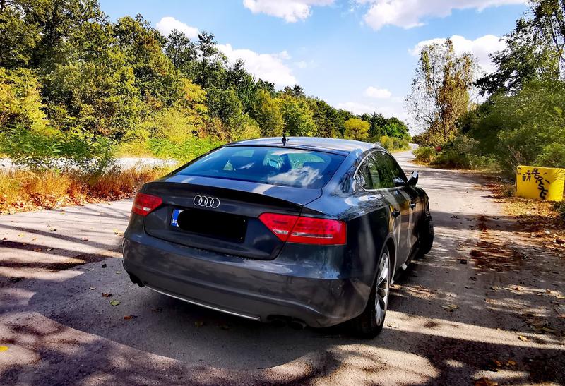 Audi S5/S5 Cabriolet • 2010 • 178,000 km 9