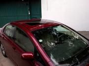 Honda Civic Coupé • 2010 • 57,000 km 7